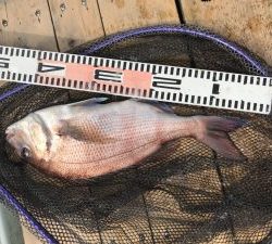 さぶろう丸 釣果