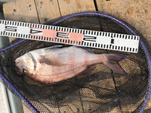 さぶろう丸 釣果