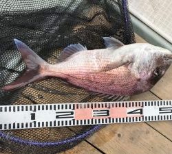 さぶろう丸 釣果