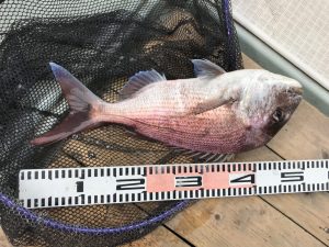 さぶろう丸 釣果