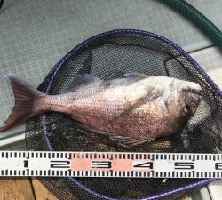 さぶろう丸 釣果