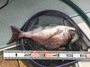 さぶろう丸 釣果