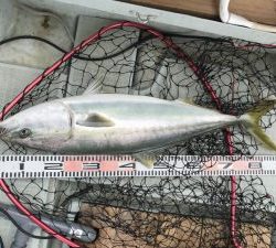 さぶろう丸 釣果