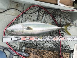 さぶろう丸 釣果