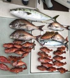 さぶろう丸 釣果