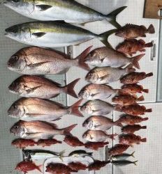 さぶろう丸 釣果