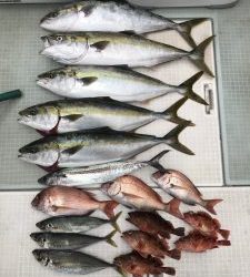 さぶろう丸 釣果