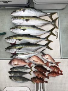 さぶろう丸 釣果