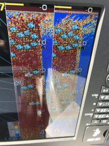 さぶろう丸 釣果