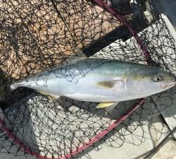 さぶろう丸 釣果