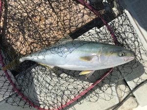 さぶろう丸 釣果