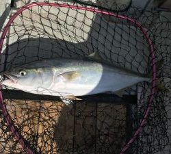 さぶろう丸 釣果