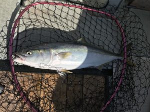 さぶろう丸 釣果