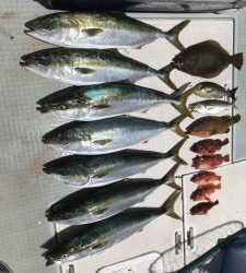 さぶろう丸 釣果