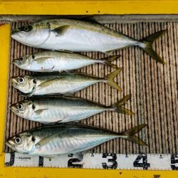 火遠理丸(ほおりまる) 釣果