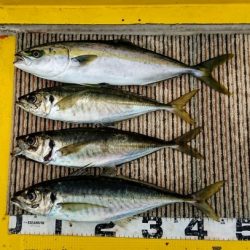 火遠理丸(ほおりまる) 釣果