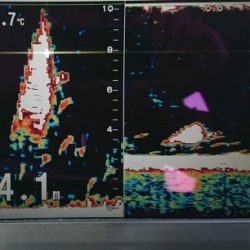 火遠理丸（ほおりまる） 釣果