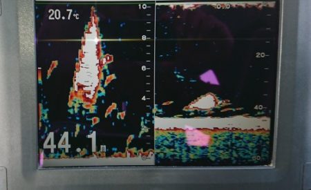 火遠理丸（ほおりまる） 釣果