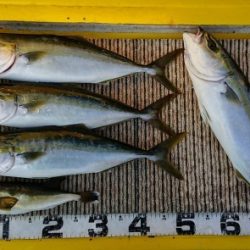 火遠理丸(ほおりまる) 釣果