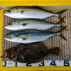 火遠理丸(ほおりまる) 釣果