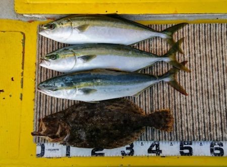 火遠理丸(ほおりまる) 釣果