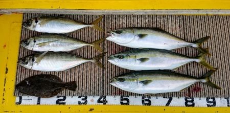 火遠理丸(ほおりまる) 釣果