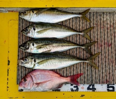 火遠理丸(ほおりまる) 釣果