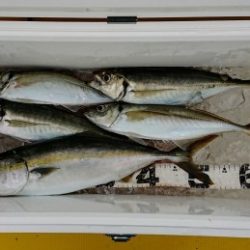 火遠理丸(ほおりまる) 釣果