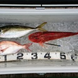 火遠理丸(ほおりまる) 釣果