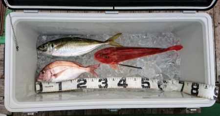 火遠理丸(ほおりまる) 釣果