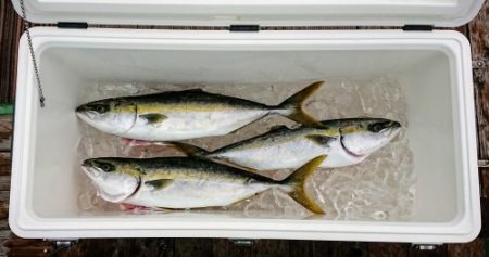 火遠理丸(ほおりまる) 釣果