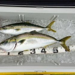 火遠理丸(ほおりまる) 釣果