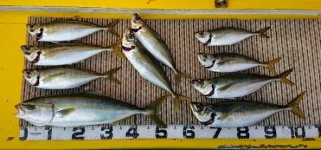 火遠理丸（ほおりまる） 釣果