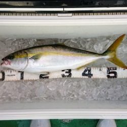 火遠理丸（ほおりまる） 釣果