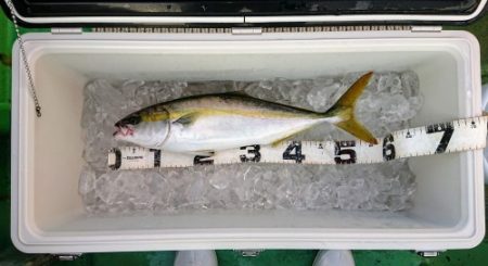 火遠理丸（ほおりまる） 釣果