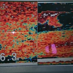 火遠理丸(ほおりまる) 釣果
