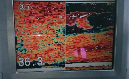 火遠理丸(ほおりまる) 釣果