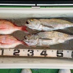 火遠理丸(ほおりまる) 釣果