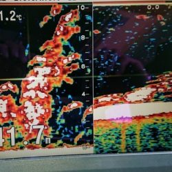 火遠理丸(ほおりまる) 釣果