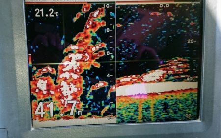 火遠理丸(ほおりまる) 釣果