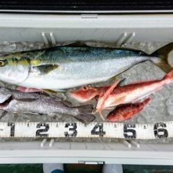 火遠理丸（ほおりまる） 釣果