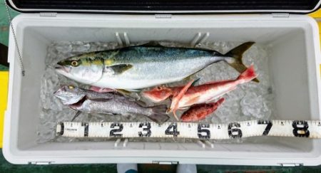 火遠理丸（ほおりまる） 釣果