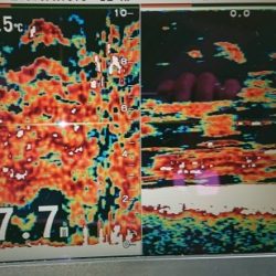 火遠理丸（ほおりまる） 釣果
