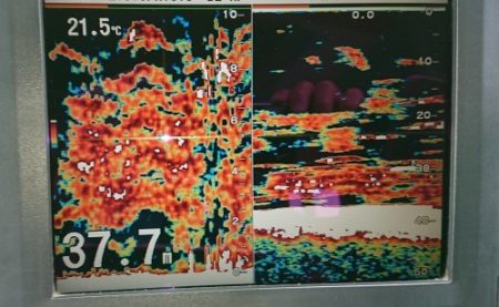 火遠理丸（ほおりまる） 釣果