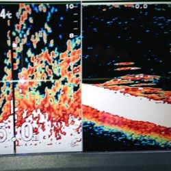 火遠理丸（ほおりまる） 釣果