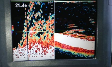 火遠理丸（ほおりまる） 釣果