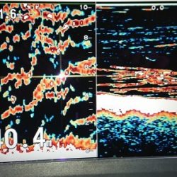 火遠理丸（ほおりまる） 釣果