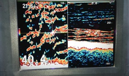 火遠理丸（ほおりまる） 釣果
