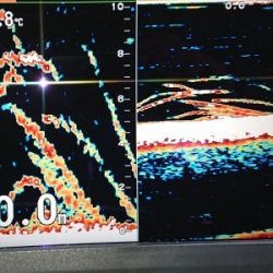 火遠理丸（ほおりまる） 釣果