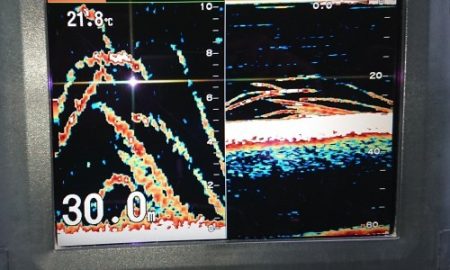 火遠理丸（ほおりまる） 釣果